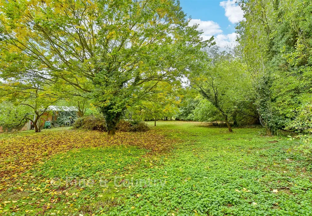 Side Garden - Sturry Hill, Sturry, Canterbury, Kent - Wards of Kent