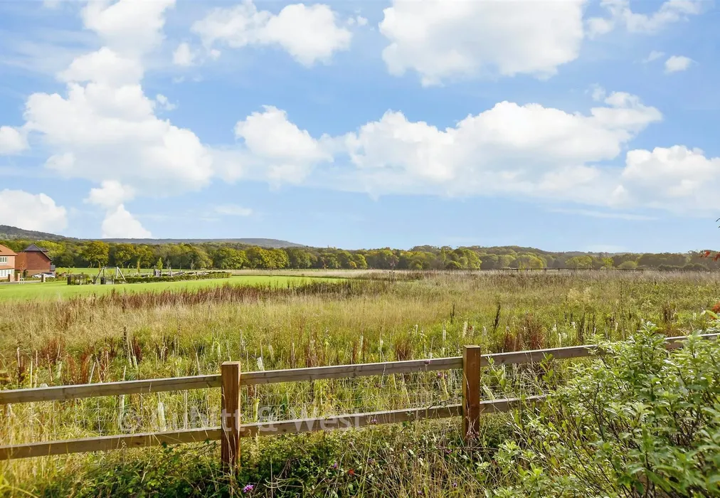 Rear Garden - Larkfield, Ewhurst, Cranleigh, Surrey - Wards of Kent