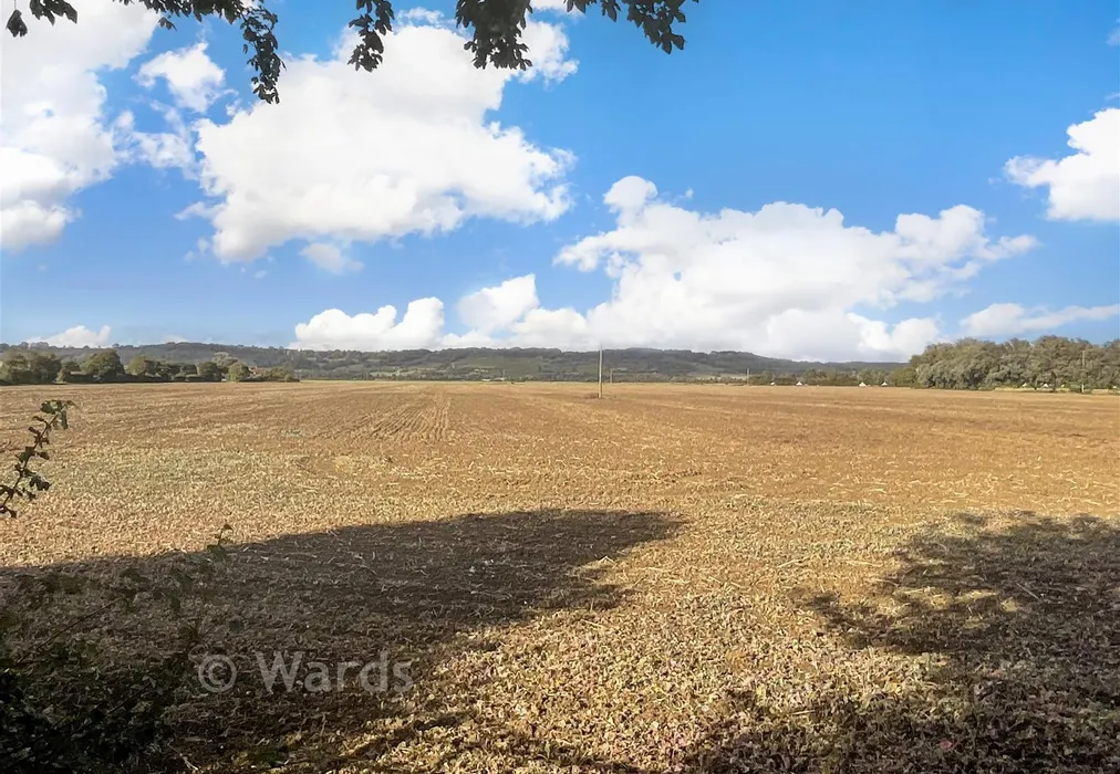 View - Painesfield Close, Burmarsh, Romney Marsh, Kent - Wards of Kent