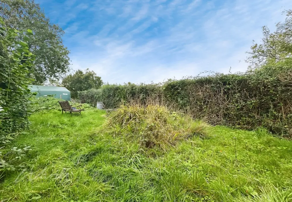 garden (2) - Pashley Road Ticehurst TN5 - Wards of Kent