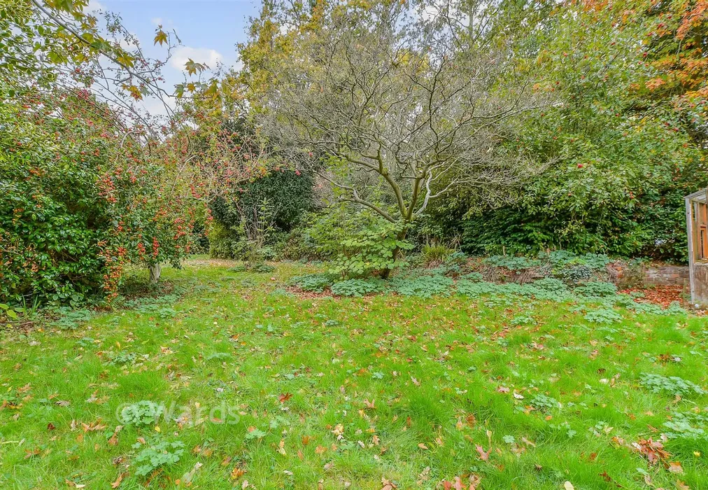 Rear Garden - Brook Street, Tonbridge, Kent - Wards of Kent