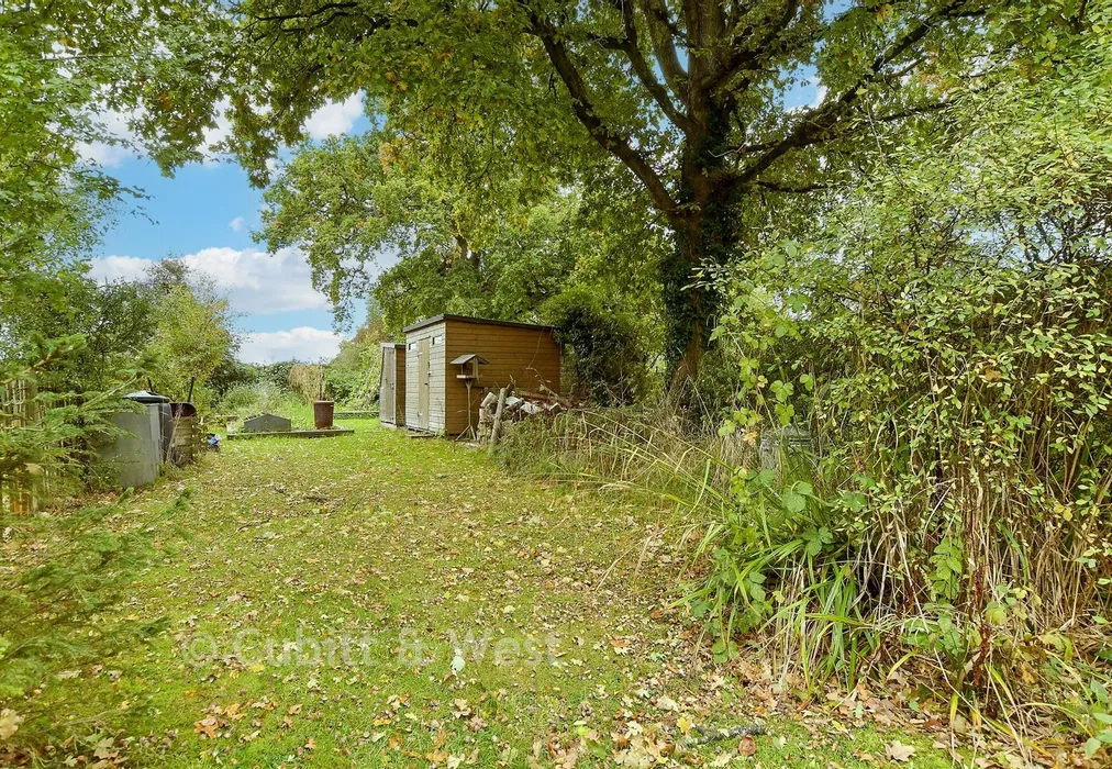 Rear Garden - Slipshatch Road, Reigate, Surrey - Wards of Kent
