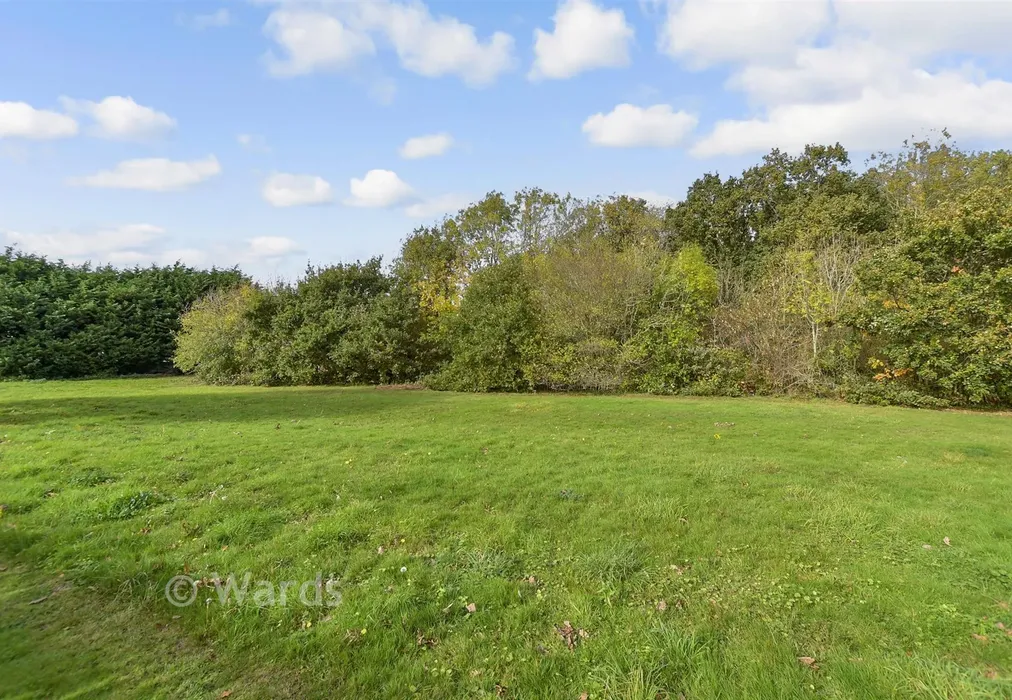 Surrounding Area - Bluebell Woods Park, Broad Oak, Canterbury, Kent - Wards of Kent