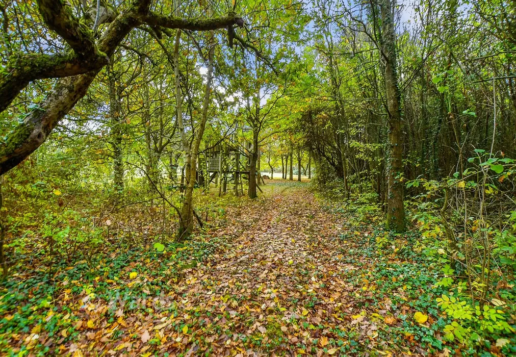 Front Garden - Pike Fish Lane, Paddock Wood, Tonbridge, Kent - Wards of Kent