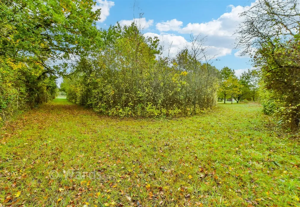 Front Garden - Pike Fish Lane, Paddock Wood, Tonbridge, Kent - Wards of Kent