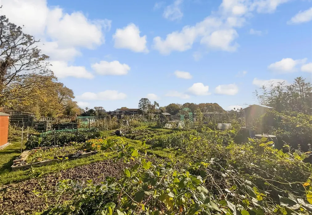 Surrounding Area - Six Fields Path, Tenterden, Kent - Wards of Kent