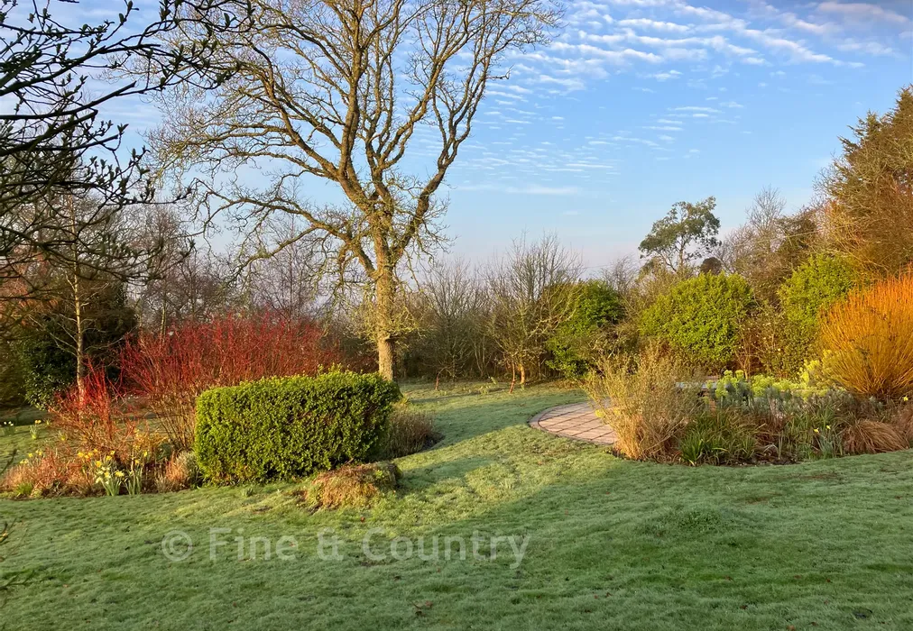 Garden* - Station Road, Ryde, Isle of Wight - Wards of Kent
