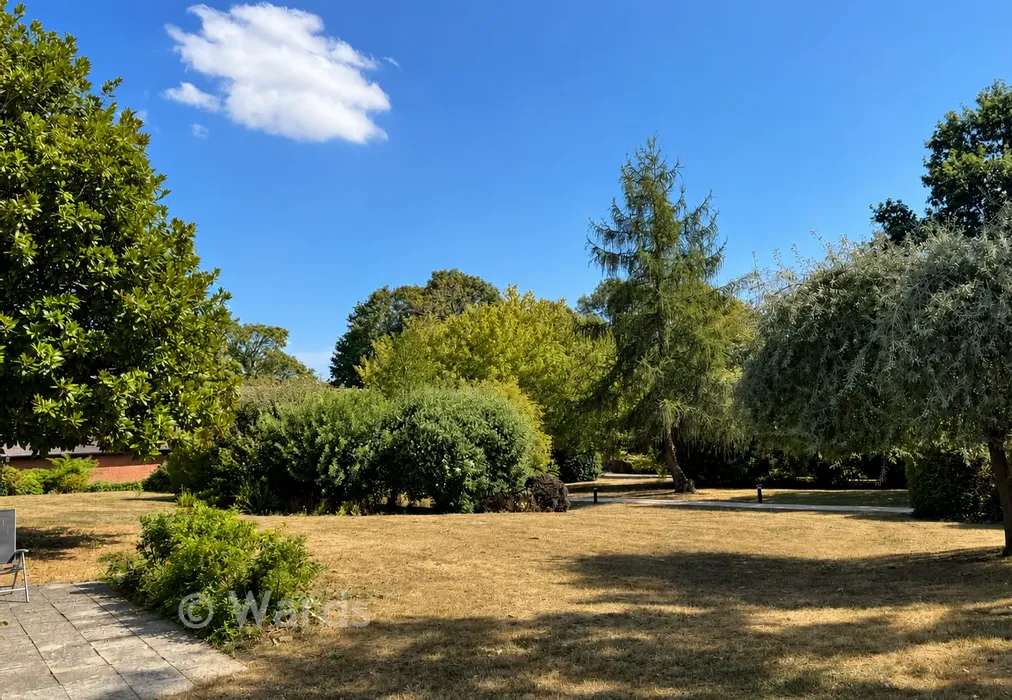 Communal Ground - Old Parsonage Court, West Malling, Kent - Wards of Kent