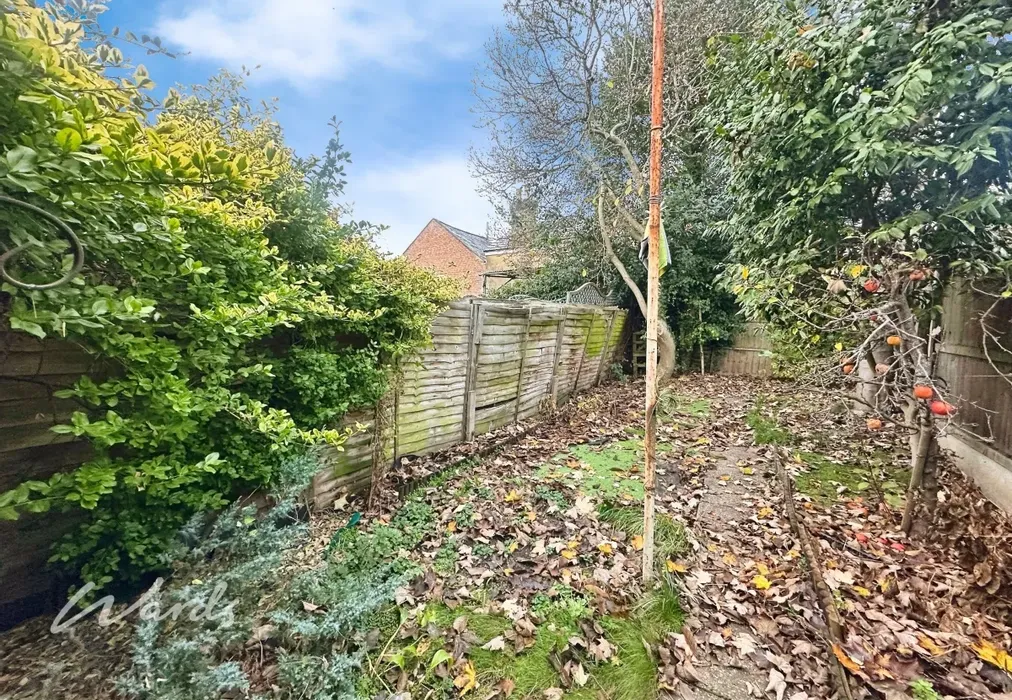 Garden - Perryfield Street Maidstone ME14 - Wards of Kent