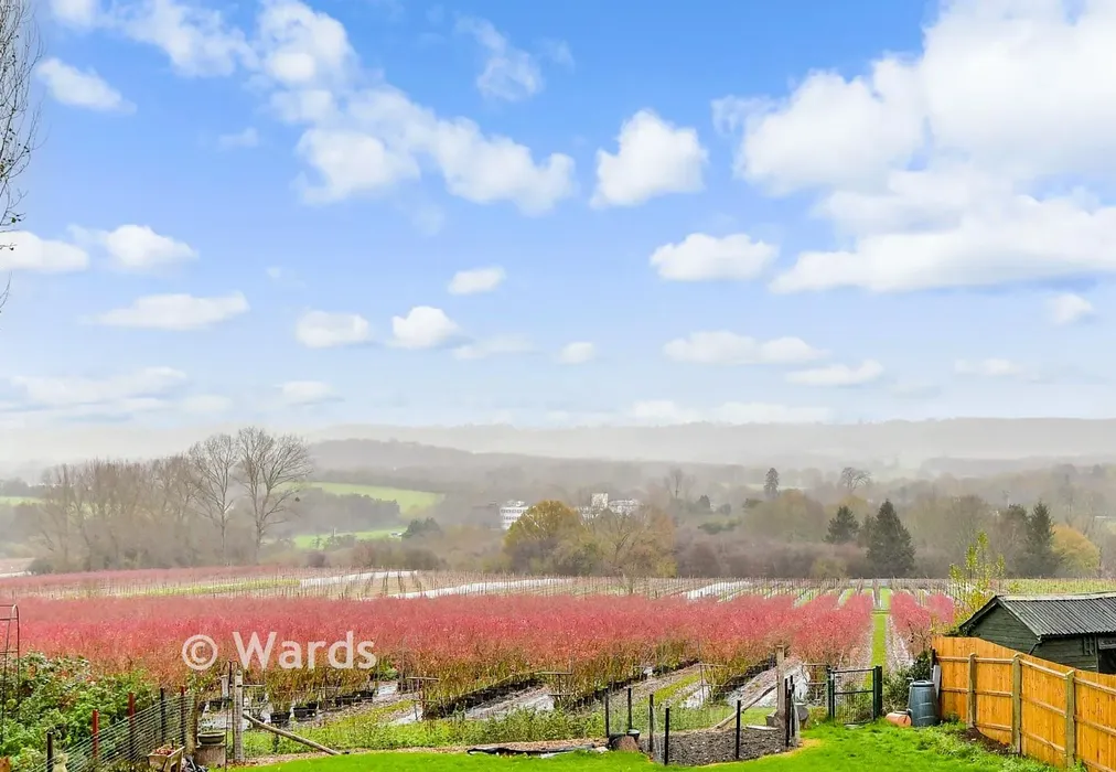 Views To Rear - Lower Street, Leeds, Maidstone, Kent - Wards of Kent