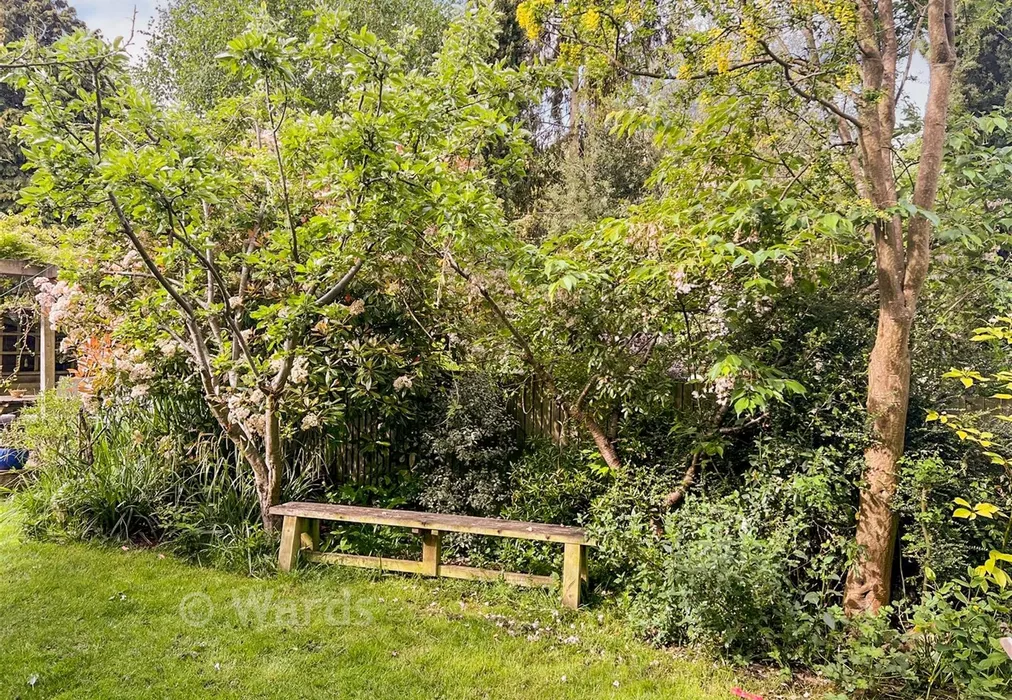 Rear Garden - St. Augustine's Road, Canterbury, Kent - Wards of Kent
