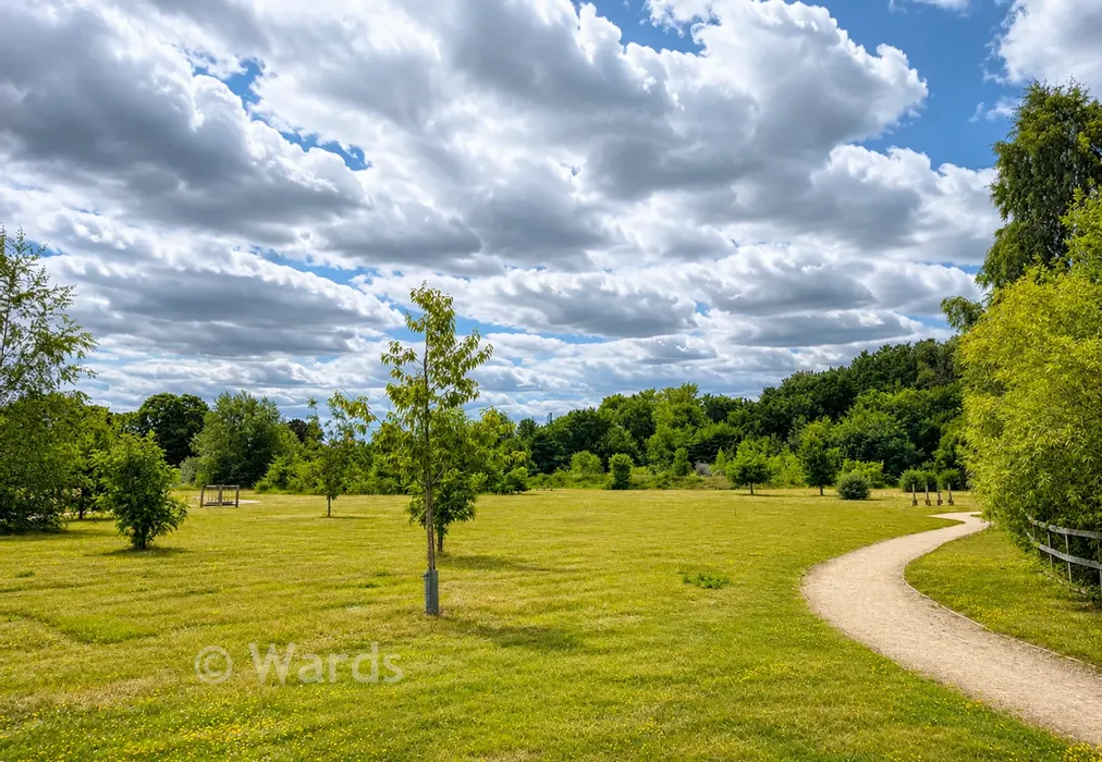 Onsite Parkland. - Quarry Road, Ryarsh, West Malling, Kent - Wards of Kent