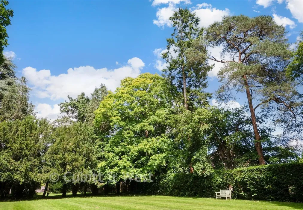 Communal Garden - Highacre, Dorking, Surrey - Wards of Kent