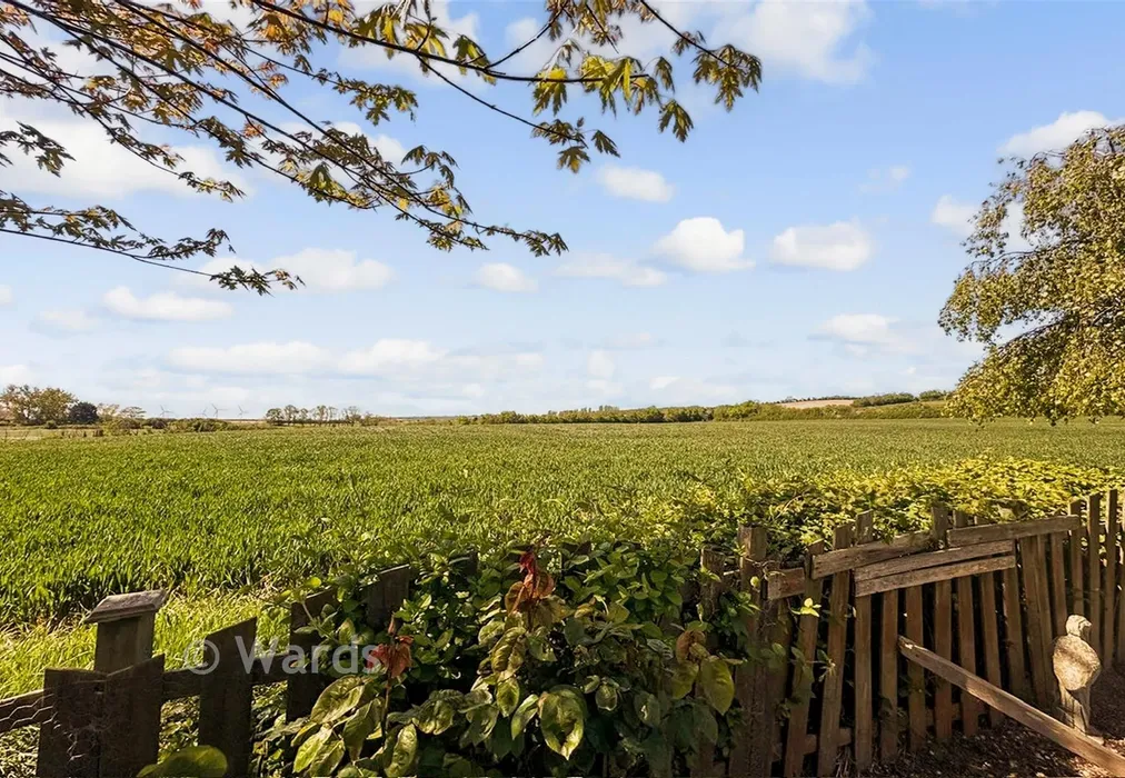 Views From Garden - Leicester Gardens, Warden, Sheerness, Kent - Wards of Kent