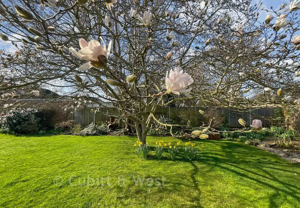 Garden 2 - Harwood Avenue, Goring-By-Sea, Worthing, West Sussex - Wards of Kent