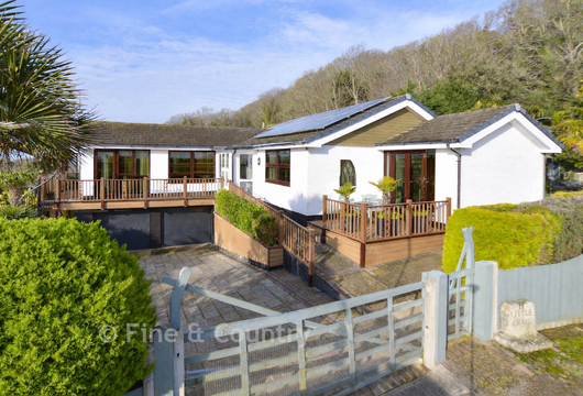 Undercliff Gardens, Ventnor, Isle of Wight - Wards of Kent