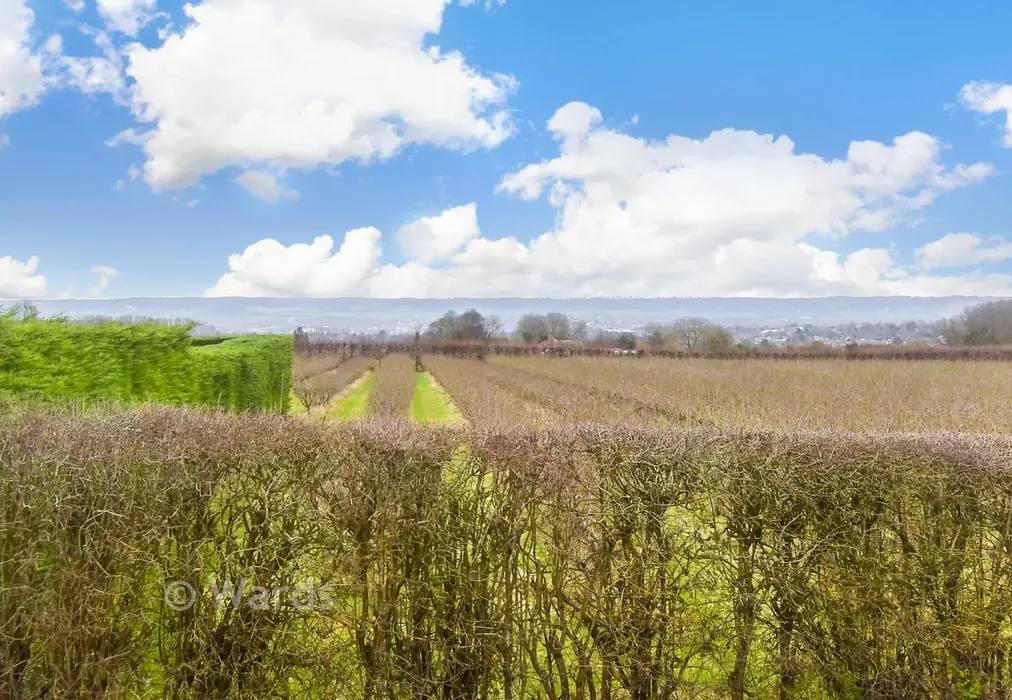 Views To Front - Heath Road, Linton, Maidstone, Kent - Wards of Kent