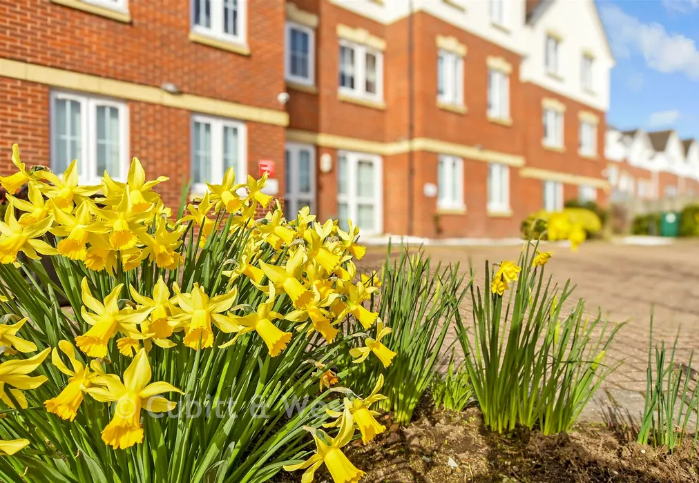 External Lifestyle Photograph - Prices Lane, Reigate, Surrey - Wards of Kent