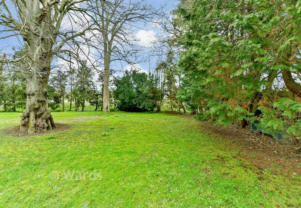 Rear Garden - Brogdale Road, Faversham, Kent - Wards of Kent