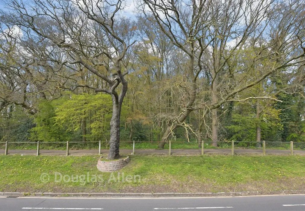 Views To Front - Larkshall Road, Chingford - Wards of Kent