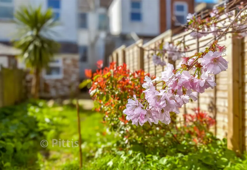 External Lifestyle Photograph - Arctic Road, Cowes, Isle of Wight - Wards of Kent