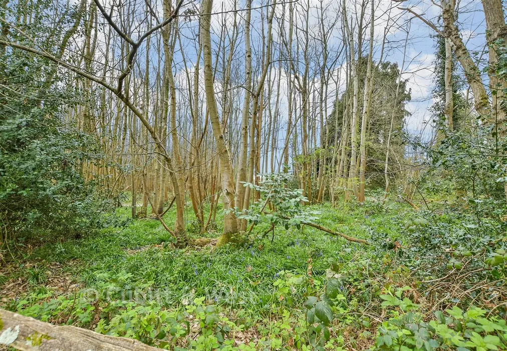 Views To Front - Ashurst Way, East Grinstead, West Sussex - Wards of Kent