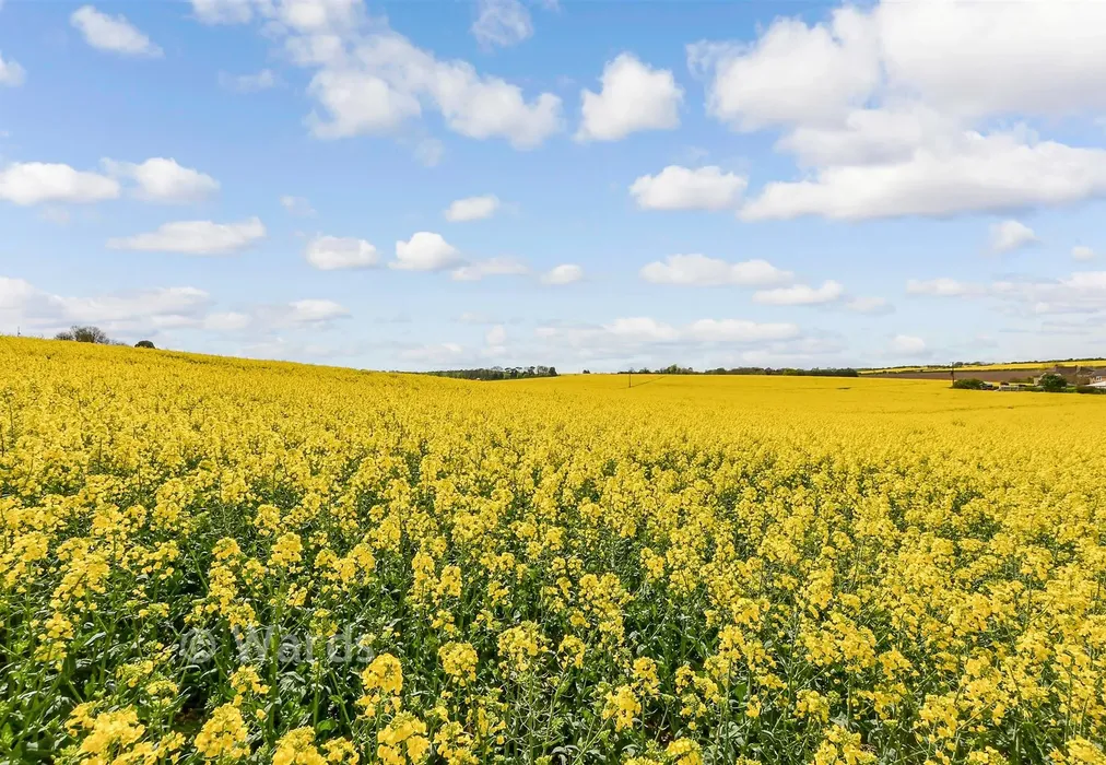 Surrounding Area - Sutton Road, Ringwould, Deal, Kent - Wards of Kent