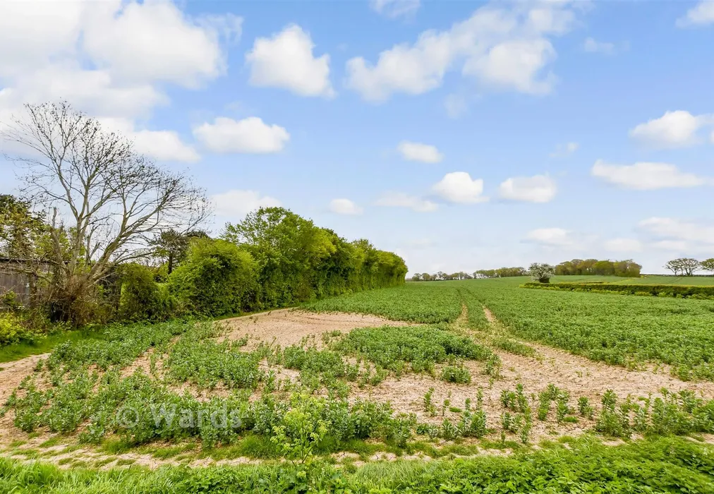 Views To Front - Norton Avenue, Herne Bay, Kent - Wards of Kent