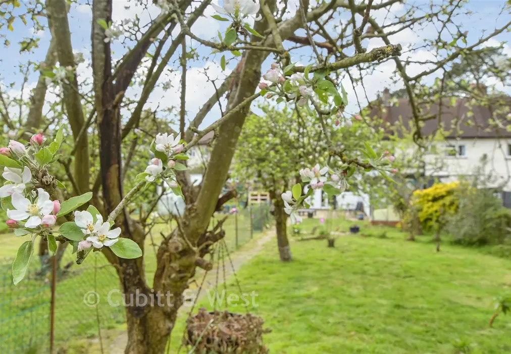 Rear Garden - Mill Lane, Oxted, Surrey - Wards of Kent