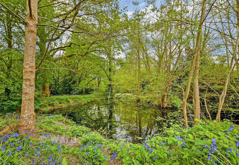 Rear Garden - Ghyllside Road, Northiam, Rye, East Sussex - Wards of Kent