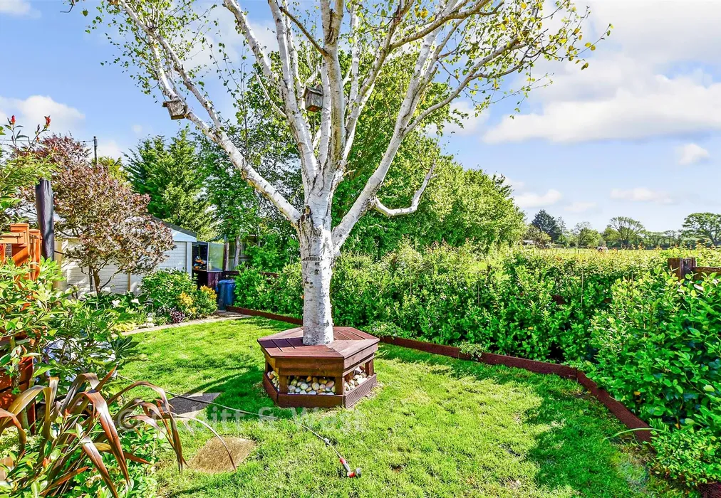 Side Garden - Nutbourne Park, Nutbourne, Chichester, West Sussex - Wards of Kent