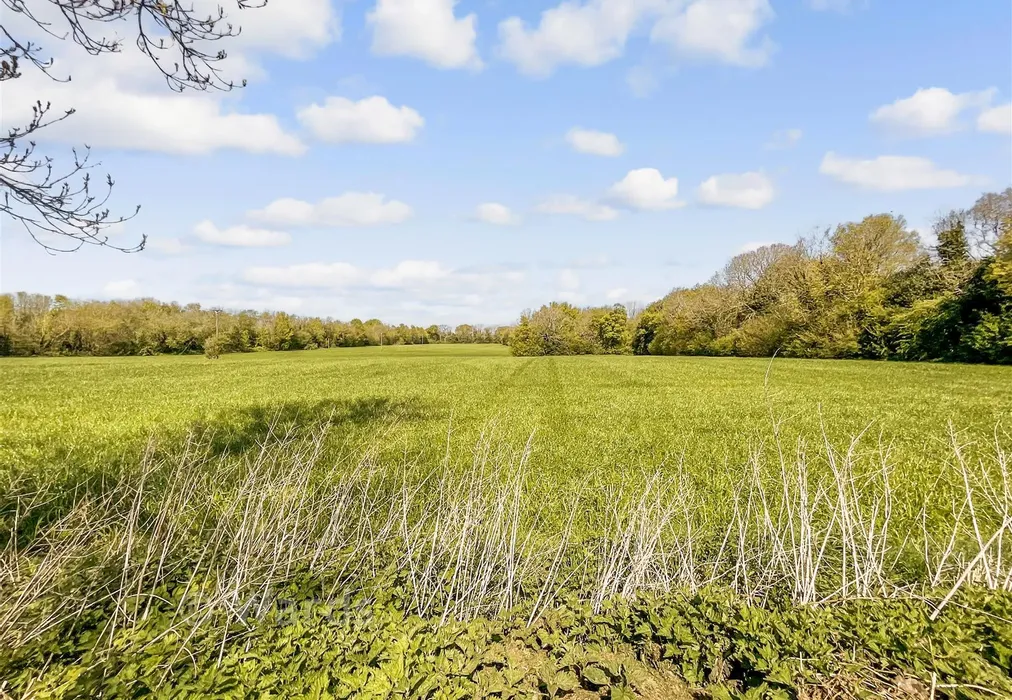 Rear Views - Dover Road, Barham, Kent - Wards of Kent