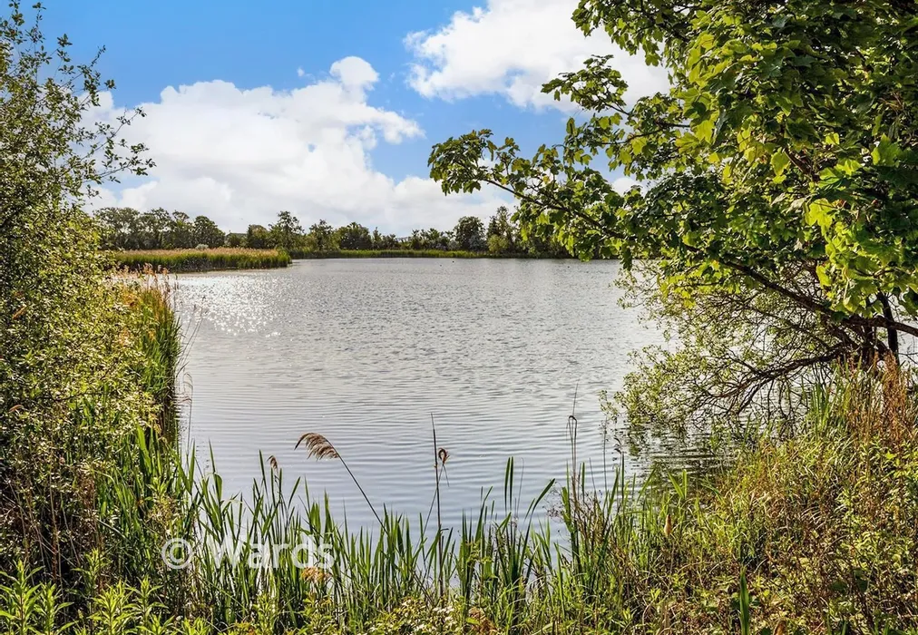 External Lifestyle - Ham Road, Faversham Lakes, Faversham, Kent - Wards of Kent