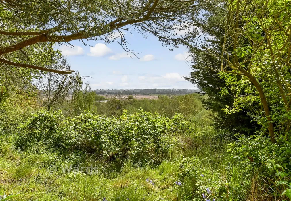 Rear Garden - Stour Valley Close, Upstreet, Canterbury, Kent - Wards of Kent