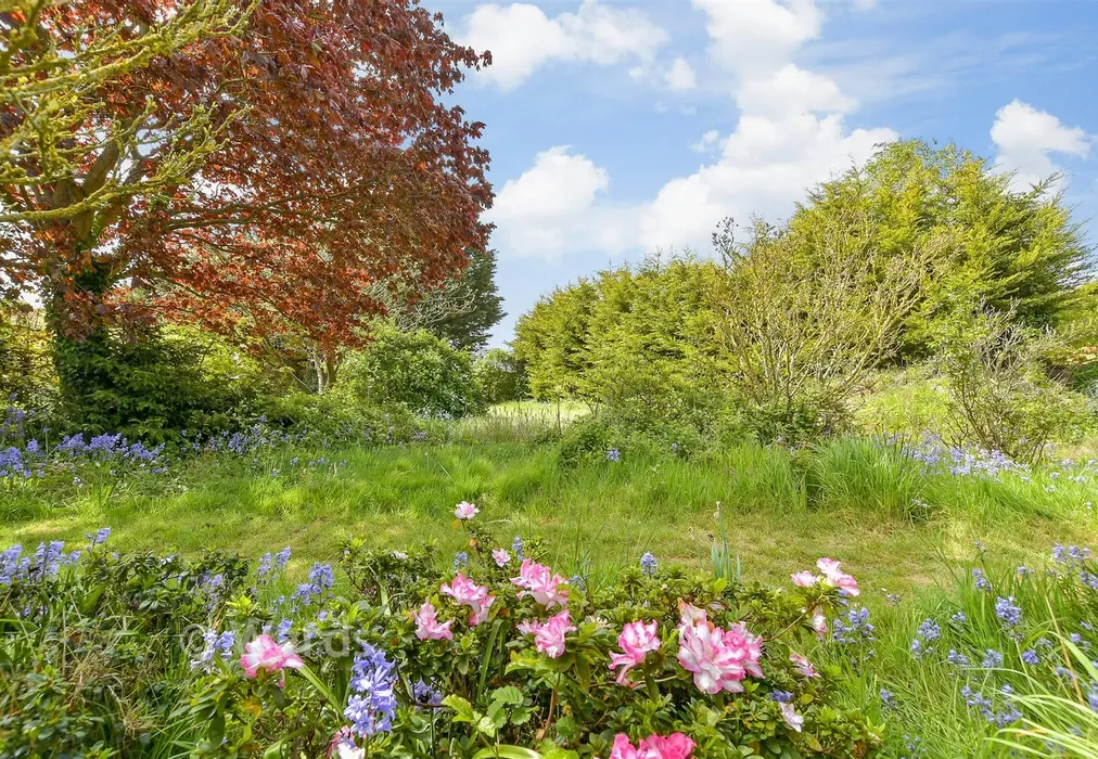 External Lifestyle Photograph - Stour Valley Close, Upstreet, Canterbury, Kent - Wards of Kent