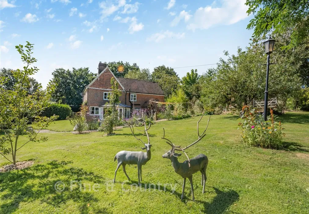 External - Moat Lane, Sedlescombe, East Sussex - Wards of Kent