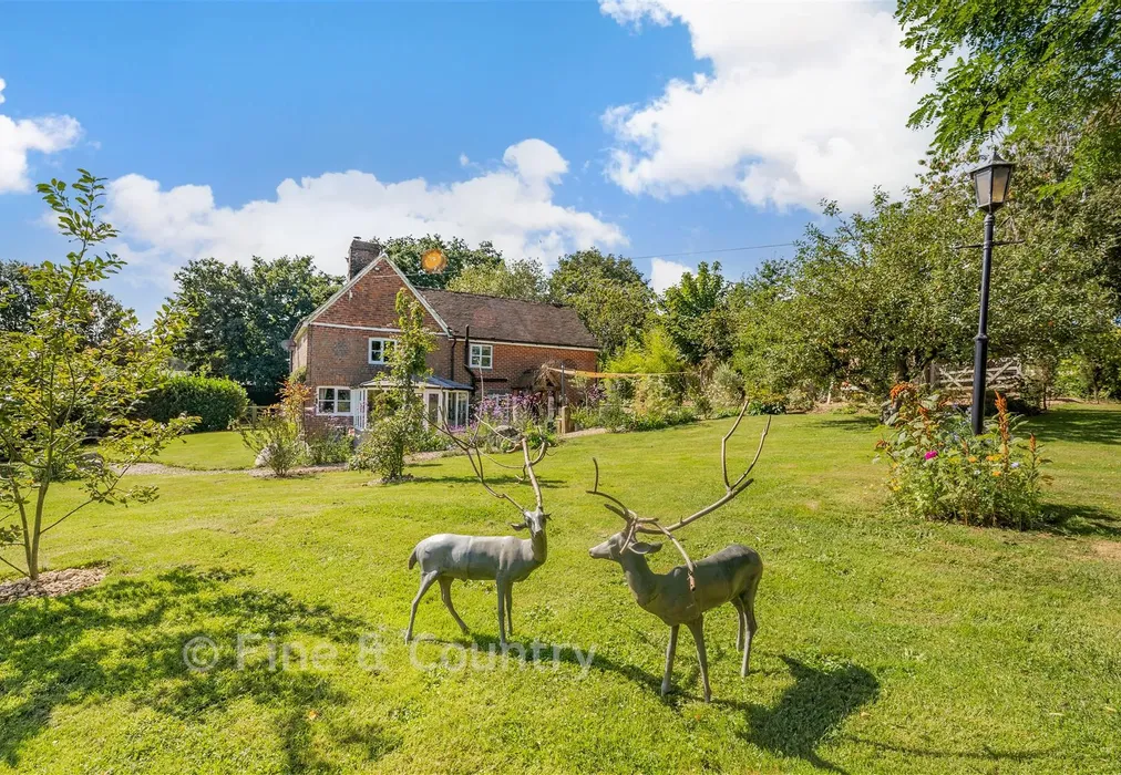 External - Moat Lane, Sedlescombe, East Sussex - Wards of Kent
