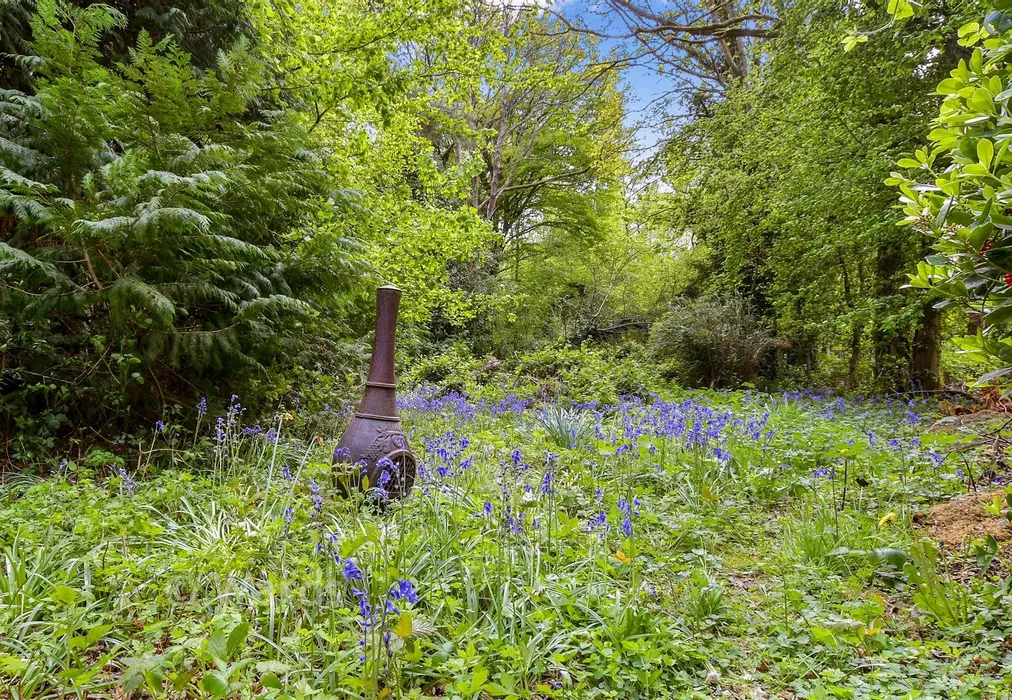 Rear Garden - The Grove, West Kingsdown, Sevenoaks, Kent - Wards of Kent