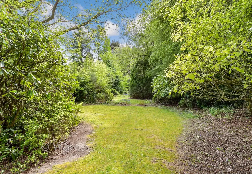 Rear Garden - The Grove, West Kingsdown, Sevenoaks, Kent - Wards of Kent