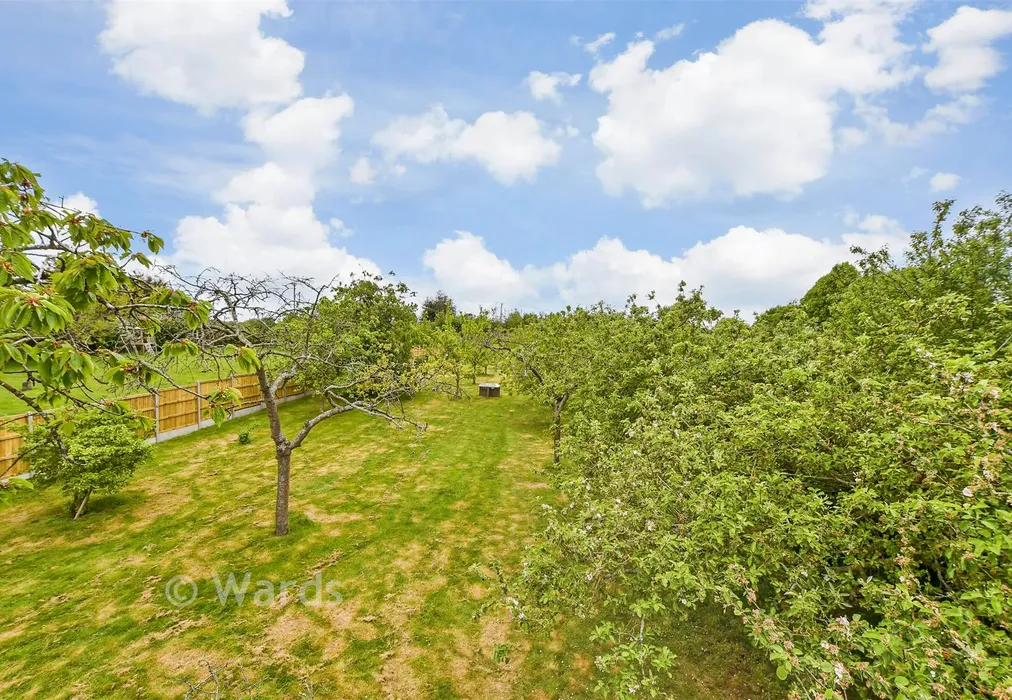Rear Garden - Christopher Row, Lynsted, Kent - Wards of Kent