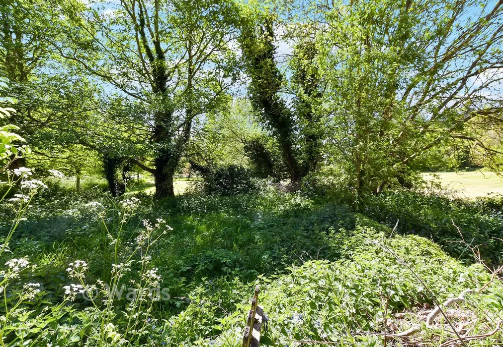 Front Garden - Church Lane, Trottiscliffe, West Malling, Kent - Wards of Kent