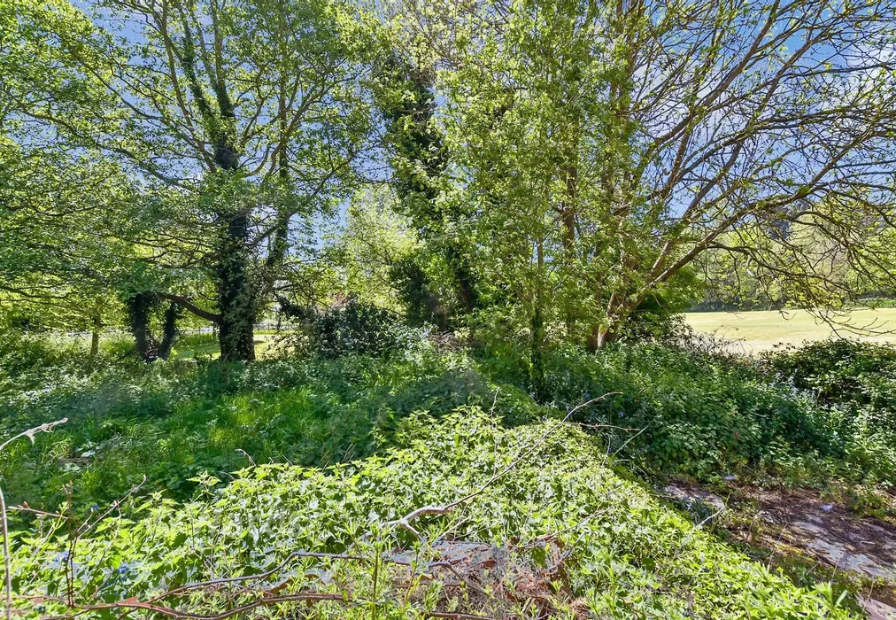 Front Garden - Church Lane, Trottiscliffe, West Malling, Kent - Wards of Kent