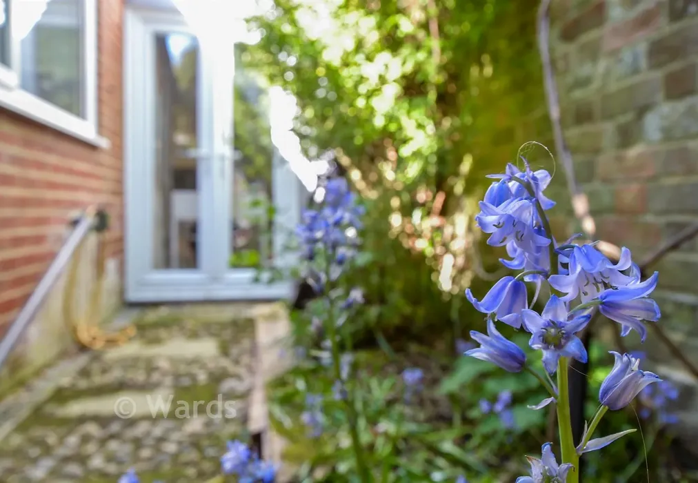External Lifestyle Photograph - Albert Road, Hythe, Kent - Wards of Kent