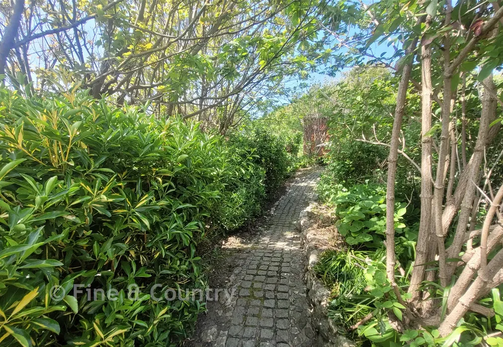 External Lifestyle - The Cliff Path, Bonchurch, Ventnor, Isle of Wight - Wards of Kent