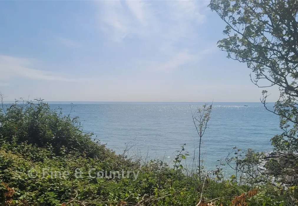 View - The Cliff Path, Bonchurch, Ventnor, Isle of Wight - Wards of Kent