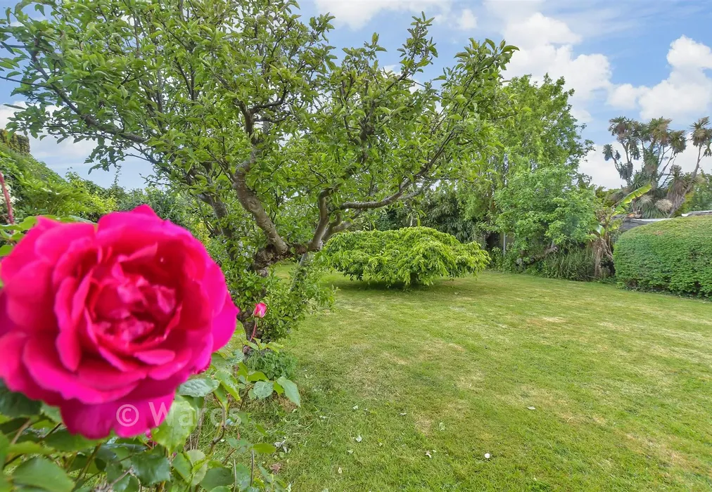 External Lifestyle Photograph - Lancaster Gardens, Herne Bay, Kent - Wards of Kent
