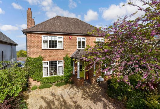 Hollingbury Copse, Brighton, East Sussex - Wards of Kent