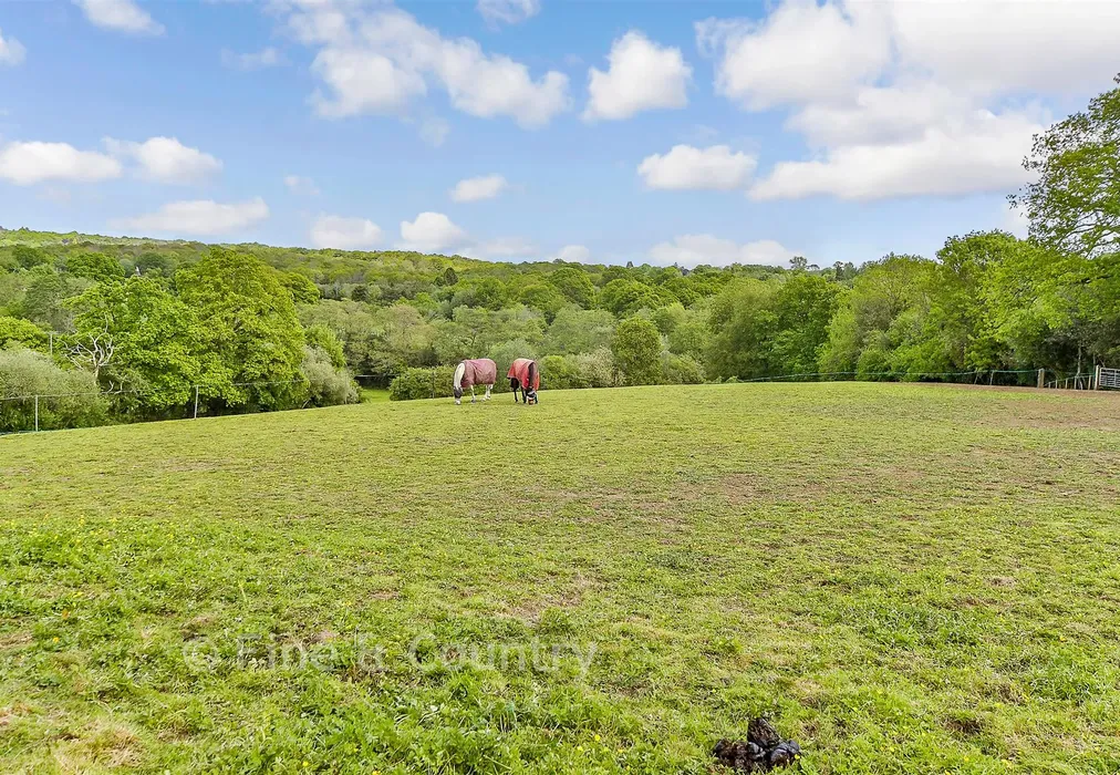 Rear Garden - Old Forge Lane, Horney Common, Uckfield, East Sussex - Wards of Kent