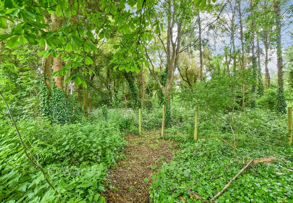 Rear Garden - Gilletts Lane, East Malling, Kent - Wards of Kent