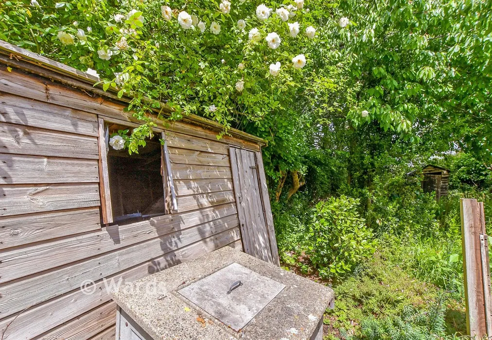 Rear Garden - Whitfeld Road, Ashford, Kent - Wards of Kent